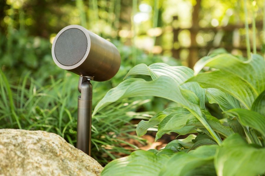 Coastal Source bullet speaker sitting behind a rock and among surrounding foliage. 